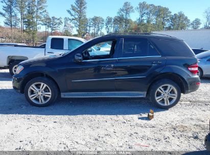 Lot #3037537366 2011 MERCEDES-BENZ ML 350 4MATIC