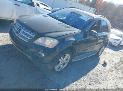 Lot #3037537366 2011 MERCEDES-BENZ ML 350 4MATIC