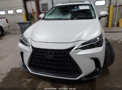 Lot #3042566439 2023 LEXUS NX 350H PREMIUM