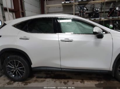 Lot #3042566439 2023 LEXUS NX 350H PREMIUM