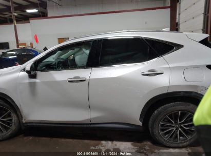 Lot #3042566439 2023 LEXUS NX 350H PREMIUM