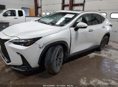 Lot #3042566439 2023 LEXUS NX 350H PREMIUM