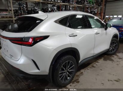 Lot #3042566439 2023 LEXUS NX 350H PREMIUM