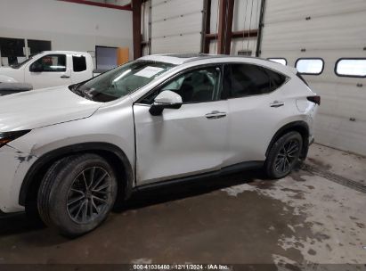 Lot #3042566439 2023 LEXUS NX 350H PREMIUM