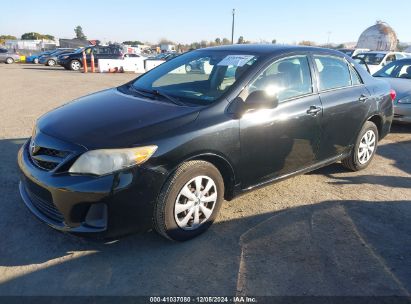 Lot #3035092369 2011 TOYOTA COROLLA LE