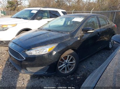 Lot #3034050405 2018 FORD FOCUS SE