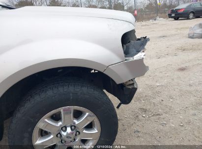 Lot #3035707827 2007 FORD EXPEDITION XLT