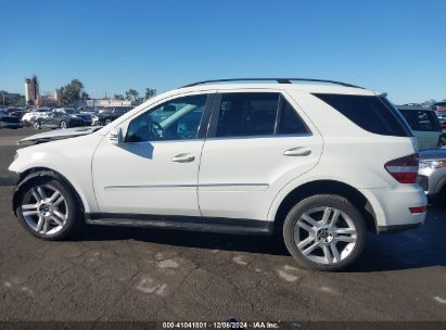 Lot #3035092319 2011 MERCEDES-BENZ ML 350 4MATIC