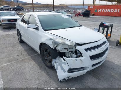 Lot #3035092317 2011 CHEVROLET MALIBU LS