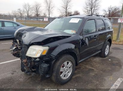 Lot #3051081789 2010 MERCURY MARINER