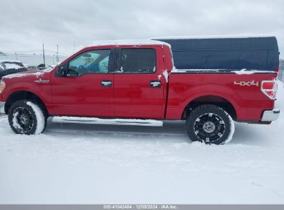 Lot #3025484871 2012 FORD F-150 XLT