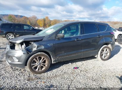 Lot #3042555160 2017 FORD ESCAPE SE