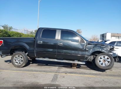 Lot #3050086028 2011 FORD F-150 XLT