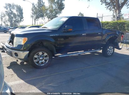 Lot #3050086028 2011 FORD F-150 XLT