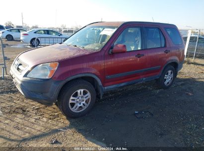 Lot #3035092228 2004 HONDA CR-V EX