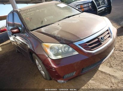 Lot #3053066221 2009 HONDA ODYSSEY EX-L