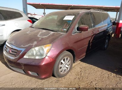 Lot #3053066221 2009 HONDA ODYSSEY EX-L