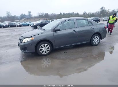 Lot #3034050134 2010 TOYOTA COROLLA LE