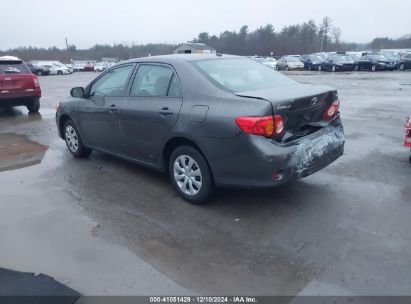 Lot #3034050134 2010 TOYOTA COROLLA LE