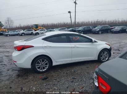 Lot #3034050125 2016 HYUNDAI ELANTRA SE