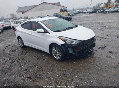 Lot #3034050125 2016 HYUNDAI ELANTRA SE