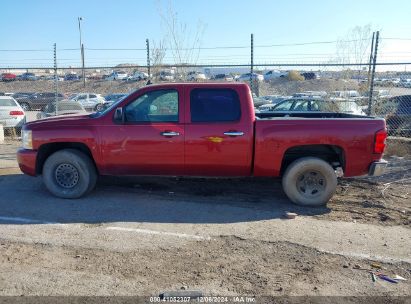 Lot #3057078686 2007 CHEVROLET SILVERADO 1500 WORK TRUCK