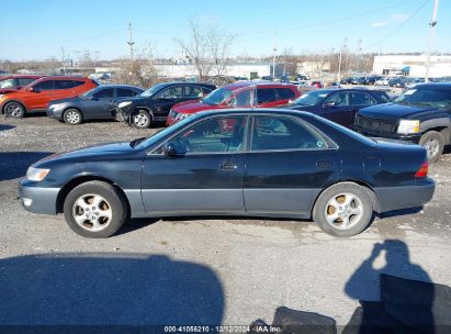 Lot #3051075900 1997 LEXUS ES 300