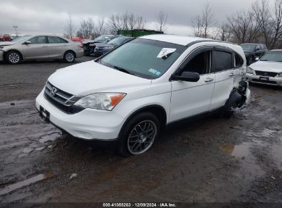 Lot #3042565595 2011 HONDA CR-V LX