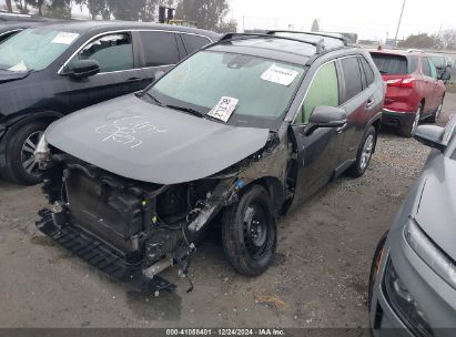 Lot #3035090465 2019 TOYOTA RAV4 LE