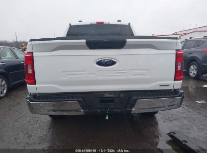 Lot #3025484542 2023 FORD F-150 XLT