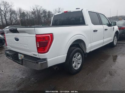 Lot #3025484542 2023 FORD F-150 XLT