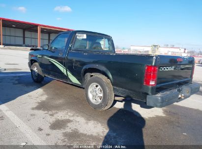 Lot #3052079888 1996 DODGE DAKOTA