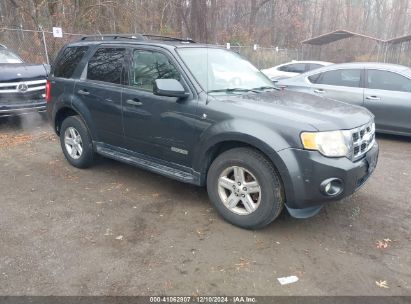 Lot #3037536412 2008 FORD ESCAPE HYBRID