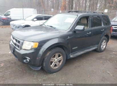 Lot #3037536412 2008 FORD ESCAPE HYBRID