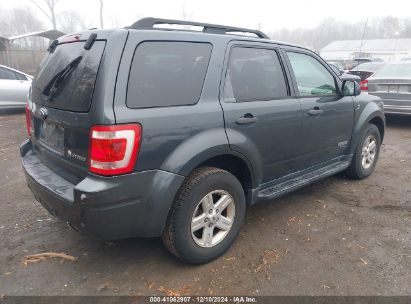 Lot #3037536412 2008 FORD ESCAPE HYBRID