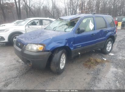 Lot #3045350399 2006 FORD ESCAPE HYBRID