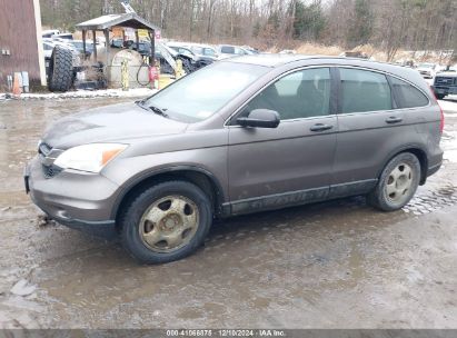 Lot #3034049787 2010 HONDA CR-V LX