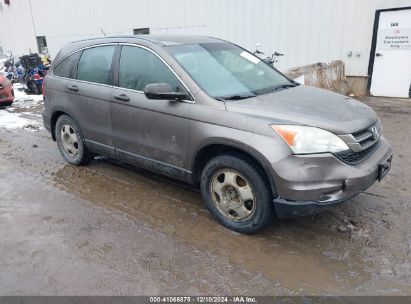 Lot #3034049787 2010 HONDA CR-V LX