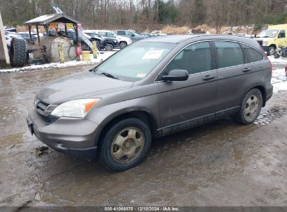 Lot #3034049787 2010 HONDA CR-V LX