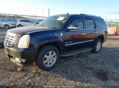 Lot #3035080000 2007 CADILLAC ESCALADE STANDARD