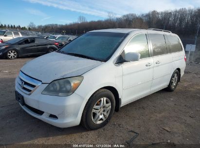 Lot #3035079947 2006 HONDA ODYSSEY EX-L