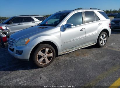 Lot #3034049681 2011 MERCEDES-BENZ ML 350