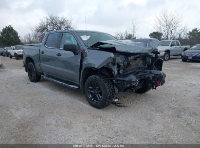 Lot #3052079863 2020 CHEVROLET SILVERADO 1500 4WD  SHORT BED CUSTOM TRAIL BOSS