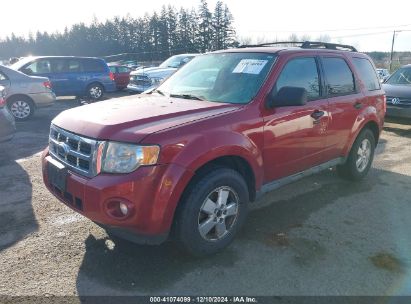 Lot #3035091815 2010 FORD ESCAPE XLT