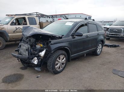 Lot #3053068191 2007 HONDA CR-V EX-L