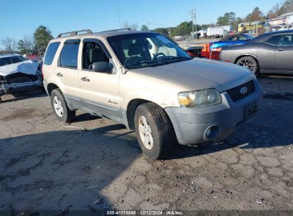 Lot #3051075761 2007 FORD ESCAPE HYBRID