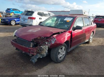 Lot #3052079494 2004 CHEVROLET MALIBU LS