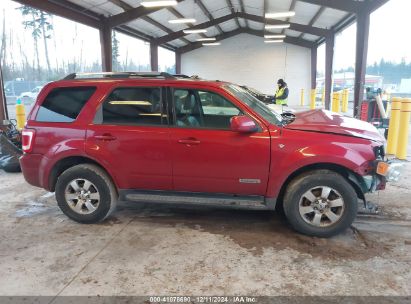 Lot #3035092133 2008 FORD ESCAPE LIMITED