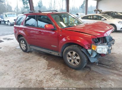 Lot #3035092133 2008 FORD ESCAPE LIMITED