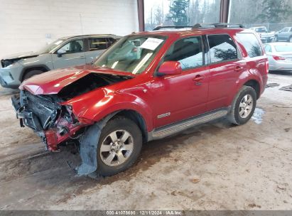 Lot #3035092133 2008 FORD ESCAPE LIMITED